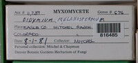 Image Associated With the Occurence